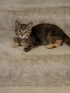 IMG 0127