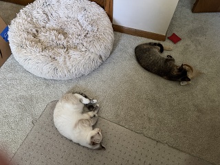 IMG 0205